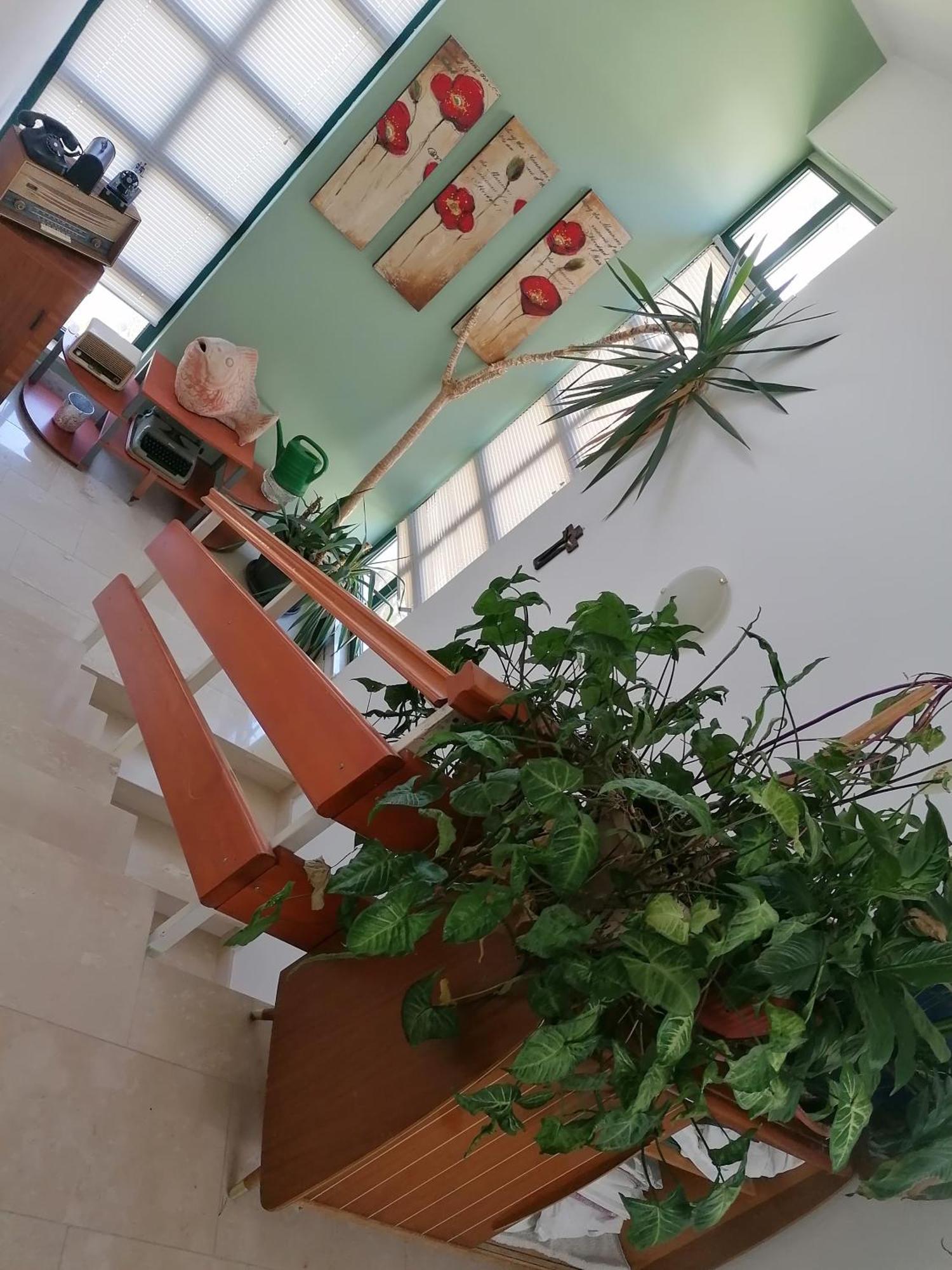 Katarina Apartment Makarska